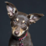 Profile picture of 