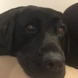 Profile picture of Penny