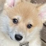 Profile picture of 