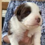 Profile picture of Stella