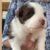 Profile picture of Stella