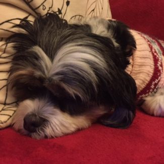 Profile picture of Milly