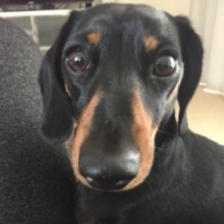 Profile picture of Maggie