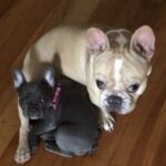 Profile picture of Kingston