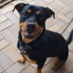 Profile picture of Layla