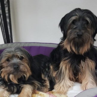 Profile picture of Angus & Dougall