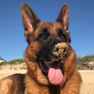 Profile picture of Kody