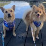 Profile picture of Louis Gianni