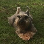 Profile picture of Otto