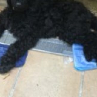 Profile picture of Lucie Lu