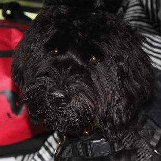 Profile picture of Eddie