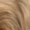 Profile picture of Milo