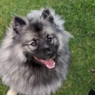 Profile picture of Macey