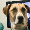 Profile picture of Max