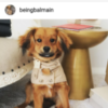 Profile picture of Balmain
