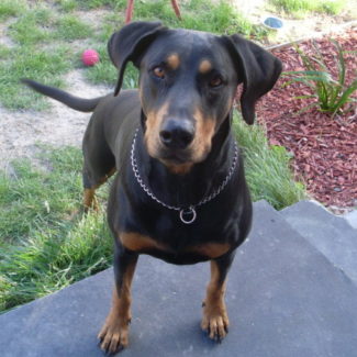 Profile picture of Missy