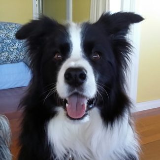 Profile picture of Andy