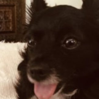 Profile picture of Mack