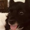 Profile picture of Mack