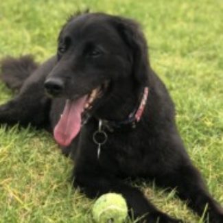 Profile picture of Ruby