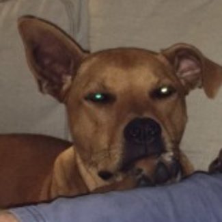 Profile picture of Dodge and Savannah