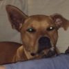 Profile picture of Dodge and Savannah