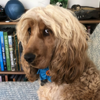 Profile picture of Daisy