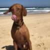 Profile picture of Noah