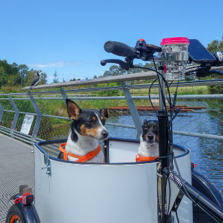 Profile picture of Mr Bear and Prince