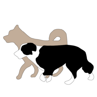 Profile picture of Get Your Dog Walking