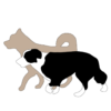 Profile picture of Get Your Dog Walking
