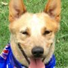 Profile picture of Manny