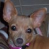 Profile picture of Tillee