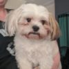 Profile picture of Bentley