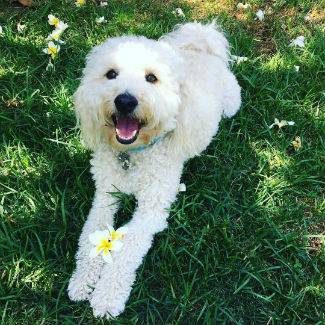 Profile picture of Oliver