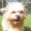 Profile picture of Saffi