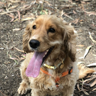 Profile picture of Luna