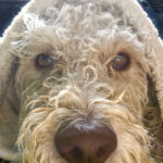 Profile picture of 