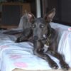 Profile picture of Sydney