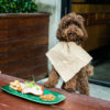 Profile picture of zoe.trewin@ausvenueco.com.au