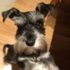 Profile picture of Elke
