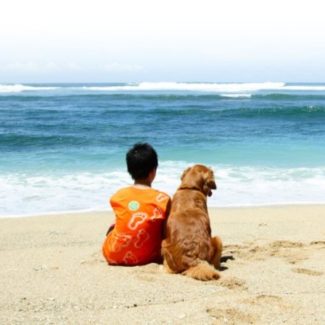 Profile picture of City Beach Veterinarians