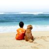 Profile picture of City Beach Veterinarians