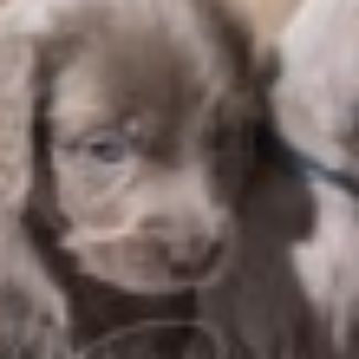 Profile picture of Unknown