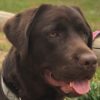 Profile picture of Penny