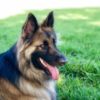 Profile picture of Nikita
