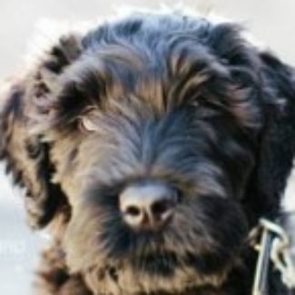 Profile picture of Major