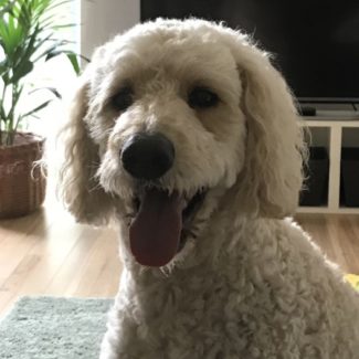 Profile picture of Elsa