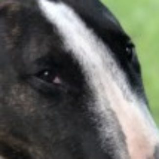 Profile picture of Jules