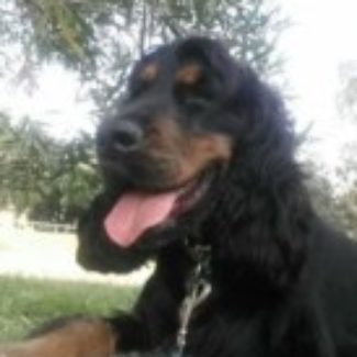 Profile picture of Bozo